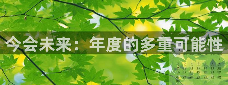 壹号平台下载安装：今会未来：年度的多重可能性
