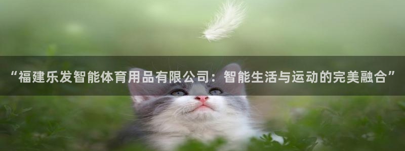 壹号大舞台怎么下载：“福建乐发智能体育用品有限公司：智能生活与运动的完美融合”