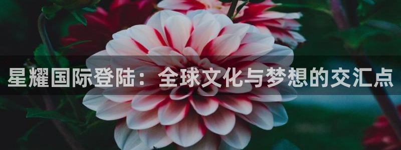 壹号app下载：星耀国际登陆：全球文化与梦想的交汇点