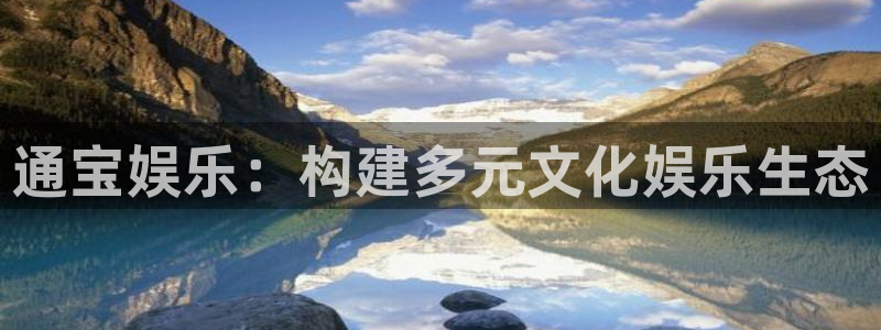 壹号大舞台：通宝娱乐：构建多元文化娱乐生态