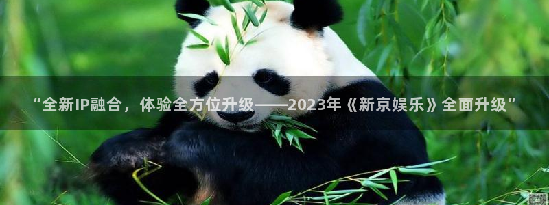 壹号电子娱乐app下载最新版本：“全新IP融合，体验全方位升级——2023年《新京娱乐》全面升级”