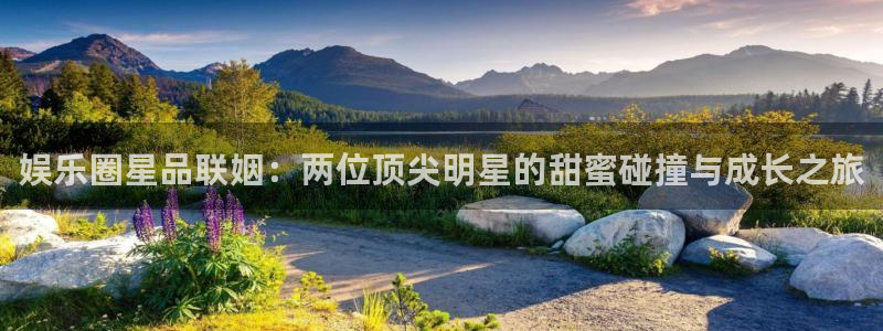 壹号大舞台：娱乐圈星品联姻：两位顶尖明星的甜蜜碰撞与成长之旅