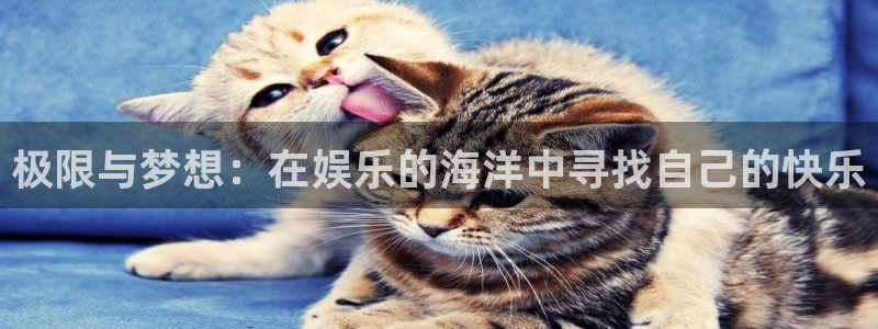 威九国际官网：极限与梦想：在娱乐的海洋中寻找自己的快乐