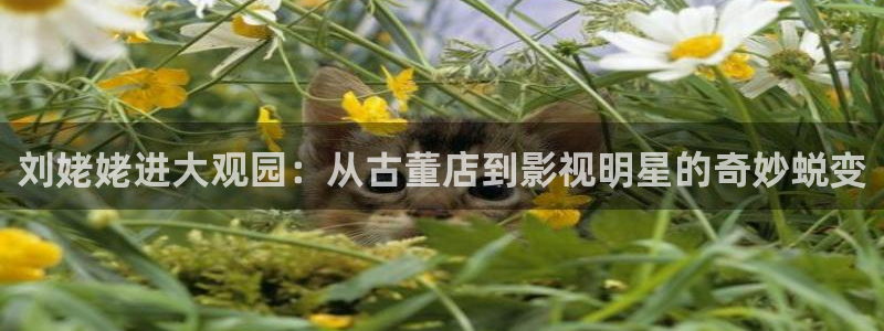 威九国际：刘姥姥进大观园：从古董店到影视明星的奇妙蜕变
