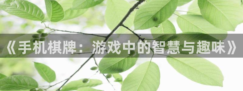 壹号大舞台官网入口：《手机棋牌：游戏中的智慧与趣味》