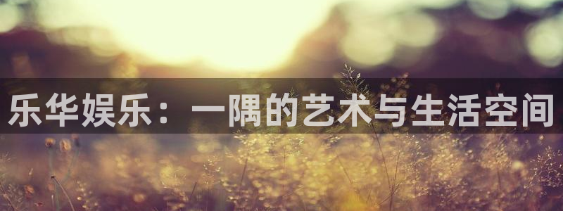 威九国际,apk.：乐华娱乐：一隅的艺术与生活空间