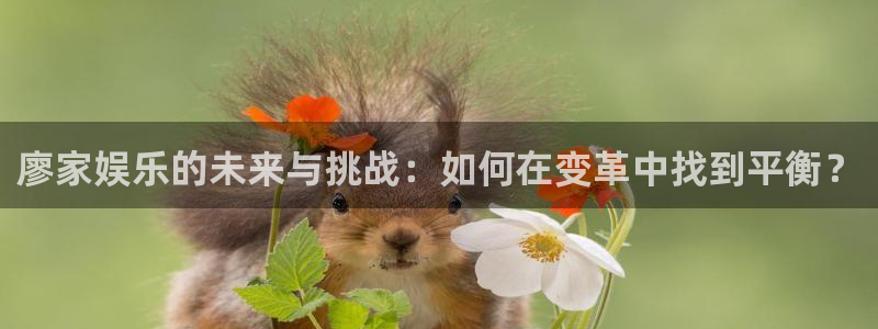 壹号电子娱乐app下载最新版本安装：廖家娱乐的未来与挑战：如何在变革中找到平衡？