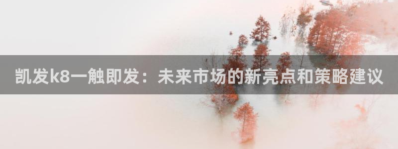 威九国际app：凯发k8一触即发：未来市场的新亮点和策略建议