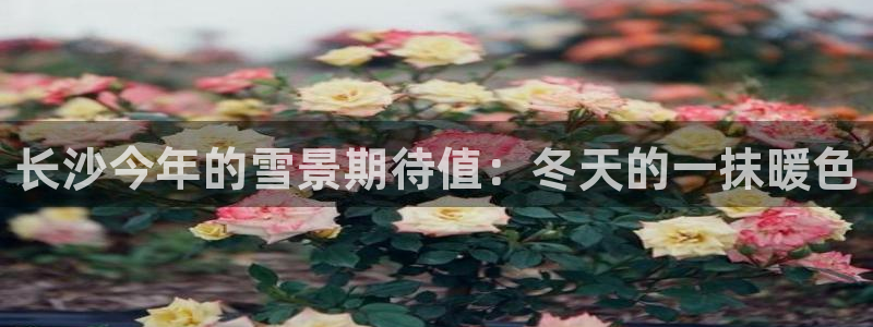 威九国际下载入口：长沙今年的雪景期待值：冬天的一抹暖色