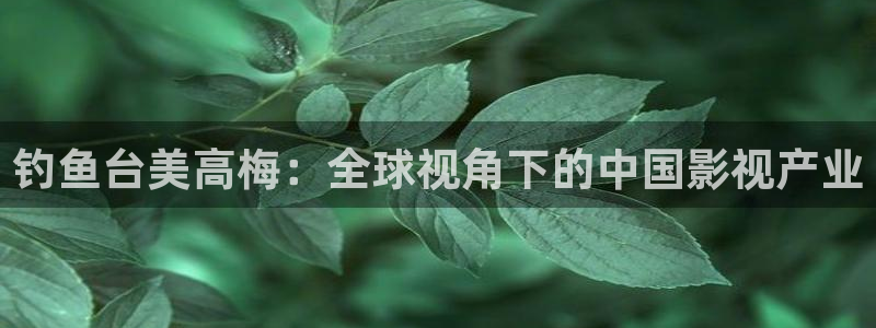 壹号平台app下载安装：钓鱼台美高梅：全球视角下的中国影视产业