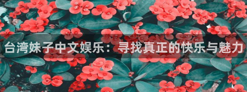 威九国际-ng大舞台,有梦你就来：台湾妹子中文娱乐：寻找真正的快乐与魅力