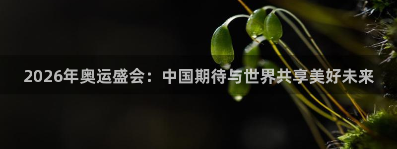 威九国际(com.youad.authst)：2026年奥运盛会：中国期待与世界共享美好未来