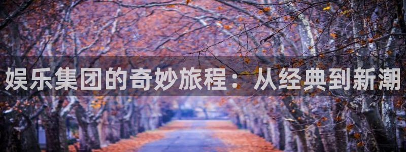 威九国际app入口：娱乐集团的奇妙旅程：从经典到新潮