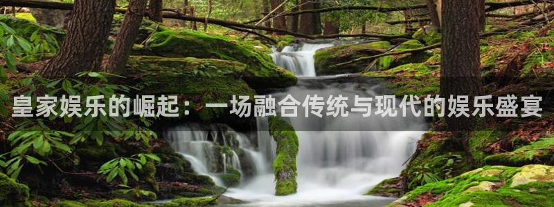 威九国际电子游戏官网：皇家娱乐的崛起：一场融合传统与现代的娱乐盛宴