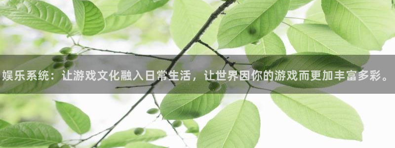壹号大舞台,有梦你就来：娱乐系统：让游戏文化融入日常生活，让世界因你的游戏而更加丰富多彩。