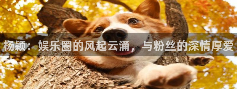 威九国际下载：杨颖：娱乐圈的风起云涌，与粉丝的深情厚爱
