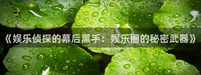 威九国际-ng大舞台,有梦你就来：《娱乐侦探的幕后黑手：娱乐圈的秘密武器》