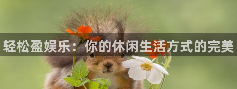 壹号大舞台：轻松盈娱乐：你的休闲生活方式的完美