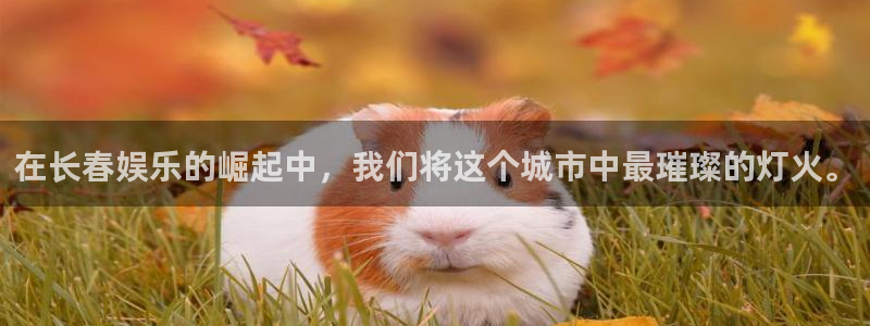 威九国际,apk：在长春娱乐的崛起中，我们将这个城市中最璀璨的灯火。
