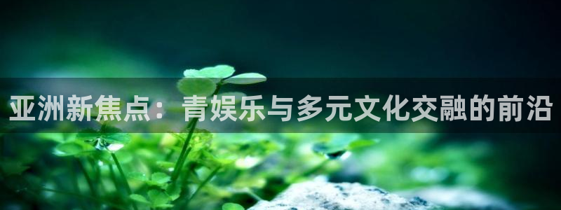威九国际,apk.：亚洲新焦点：青娱乐与多元文化交融的前沿