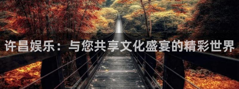 威九国际app下载官网