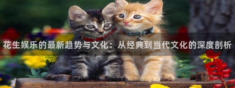 威九国际电子游戏官网：花生娱乐的最新趋势与文化：从经典到当代文化的深度剖析