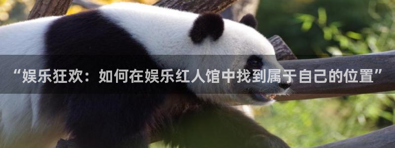 威九国际：“娱乐狂欢：如何在娱乐红人馆中找到属于自己的位置”