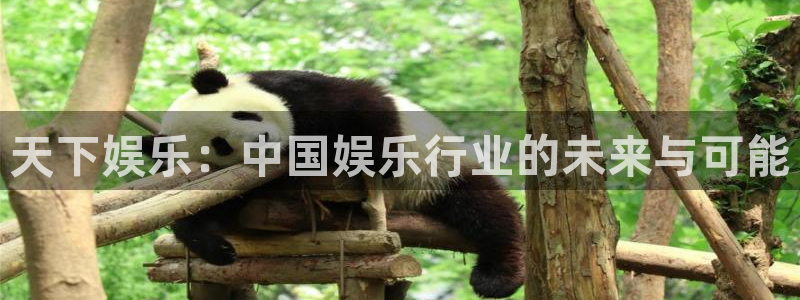 威九国际充值怎么退款：天下娱乐：中国娱乐行业的未来与可能