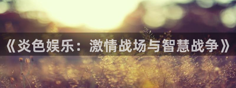 壹号大舞台娱乐传媒：《炎色娱乐：激情战场与智慧战争》