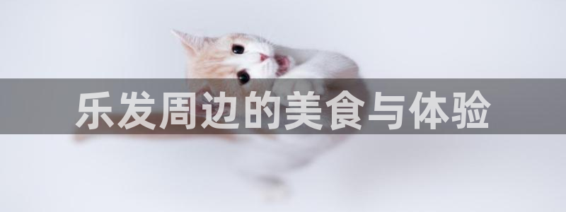 壹号官网app下载安装：乐发周边的美食与体验