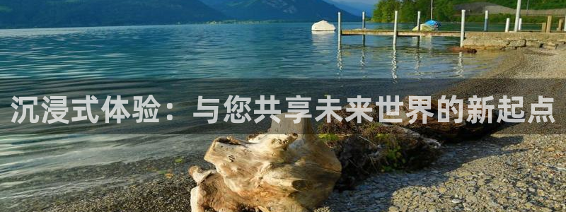 威九国际app下载安装：沉浸式体验：与您共享未来世界的新起点