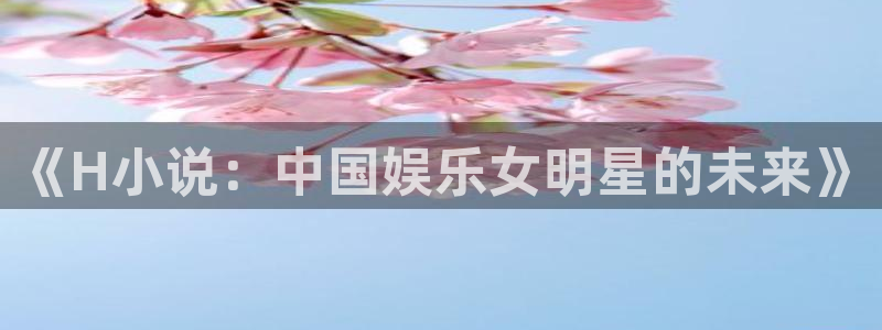 威九国际app下载安装：《H小说：中国娱乐女明星的未来》