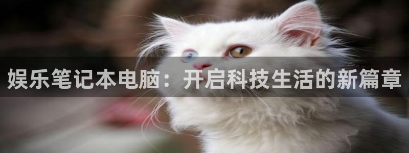 壹号大舞台娱乐传媒：娱乐笔记本电脑：开启科技生活的新篇章