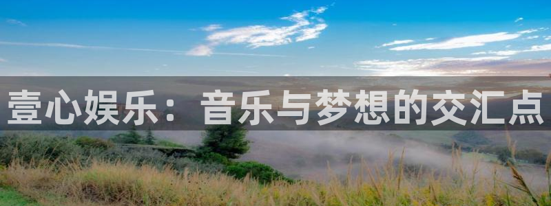 壹号大舞台怎么注册：壹心娱乐：音乐与梦想的交汇点