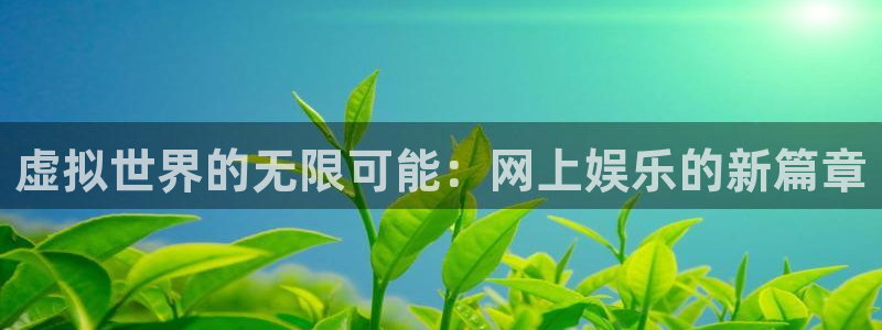壹号大舞台入口：虚拟世界的无限可能：网上娱乐的新篇章