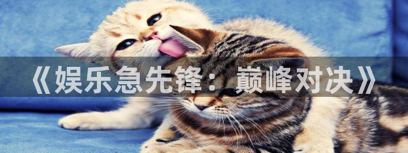 威九国际app下载：《娱乐急先锋：巅峰对决》