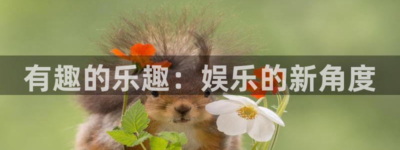 威九国际平台app下载：有趣的乐趣：娱乐的新角度