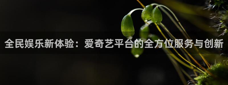 威九国际：全民娱乐新体验：爱奇艺平台的全方位服务与创新