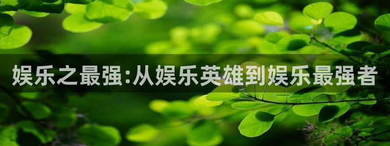 壹号电子娱乐app下载最新版本：娱乐之最强:从娱乐英雄到娱乐最强者